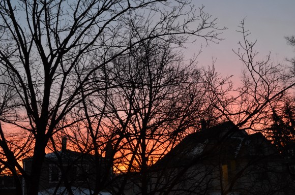 DSC_0012