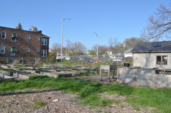 DSC_0015
