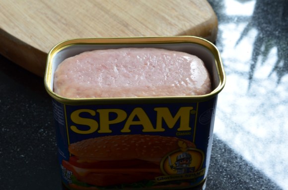 can of spam