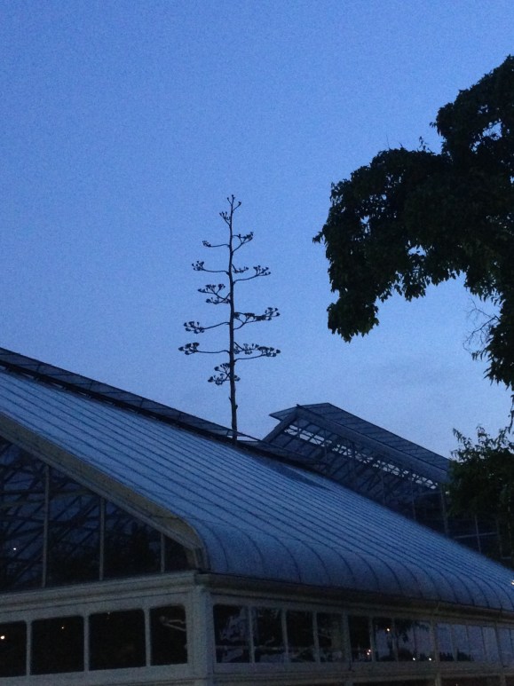 oak park conservatory