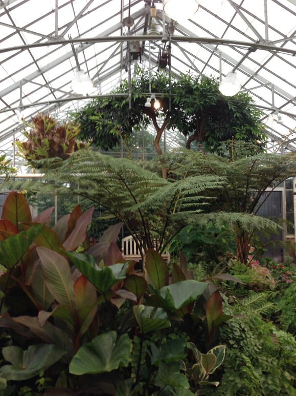 Oak Park Conservatory
