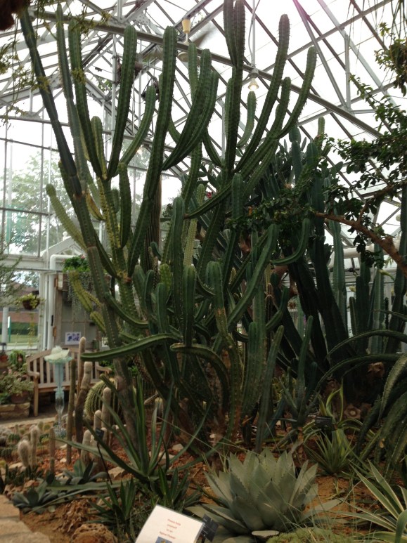 oak park conservatory 