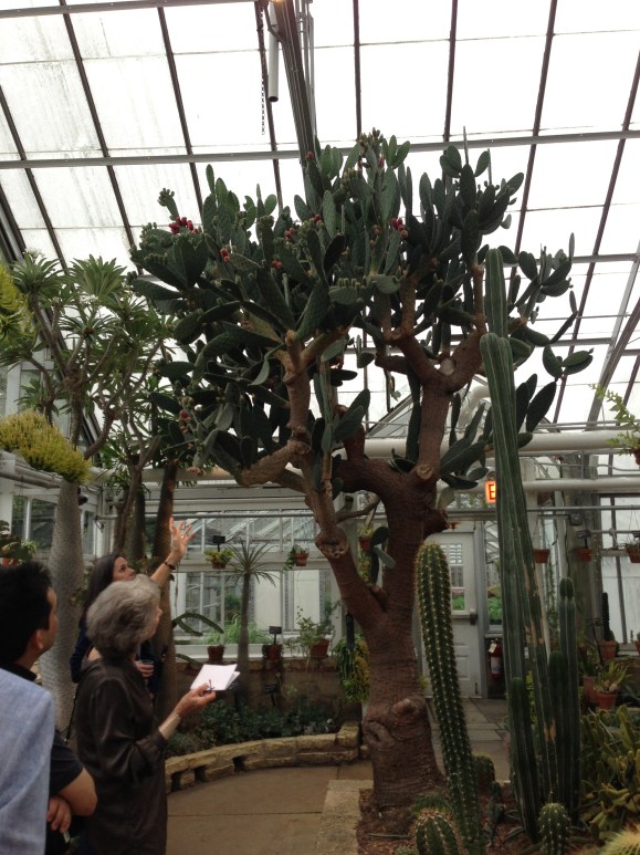 oak park conservatory 