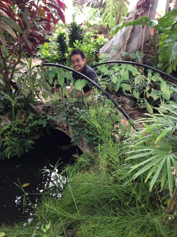 oak park conservatory Naoto on the bridge