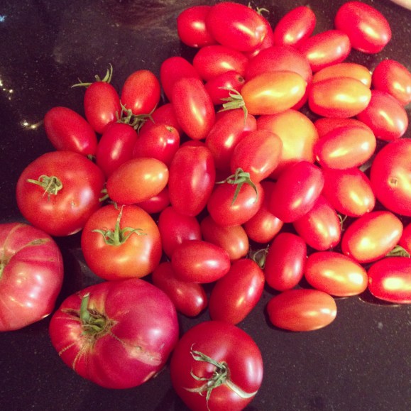 pile of tomatoes