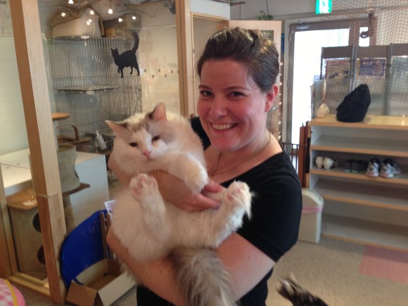 cat cafe Japan kimberlyah