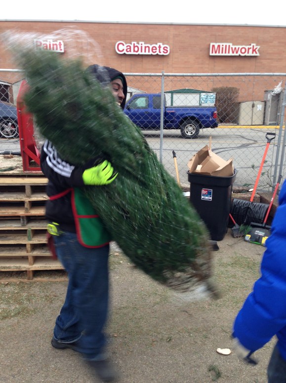 Menards tree guy