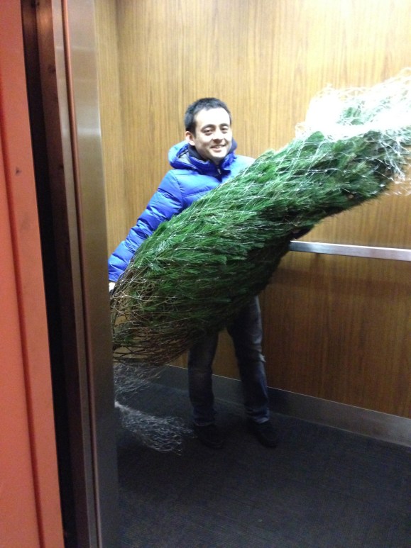 tree in the elevator