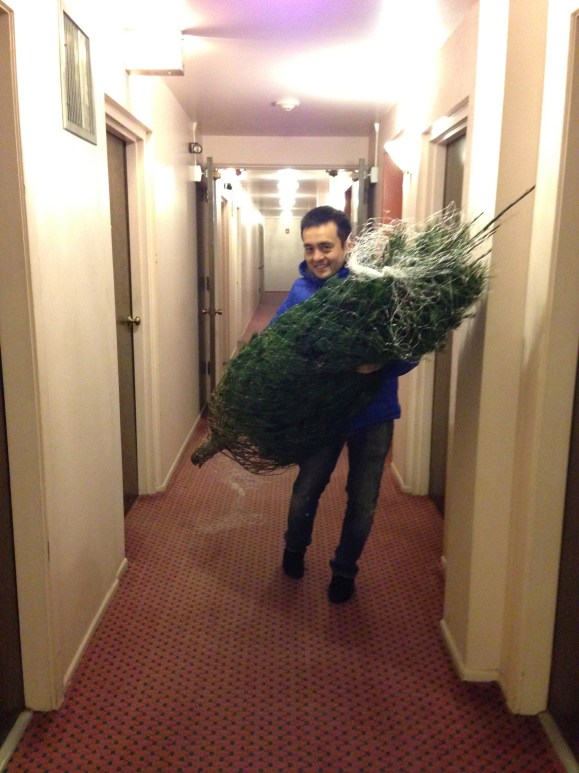 naoto and the tree