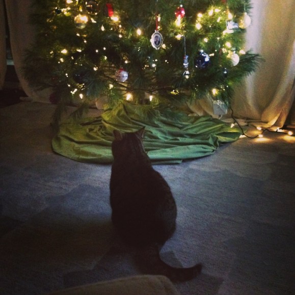 presley and the tree