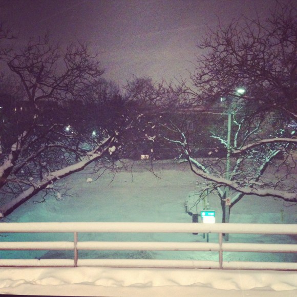 view from harlem/lake L stop