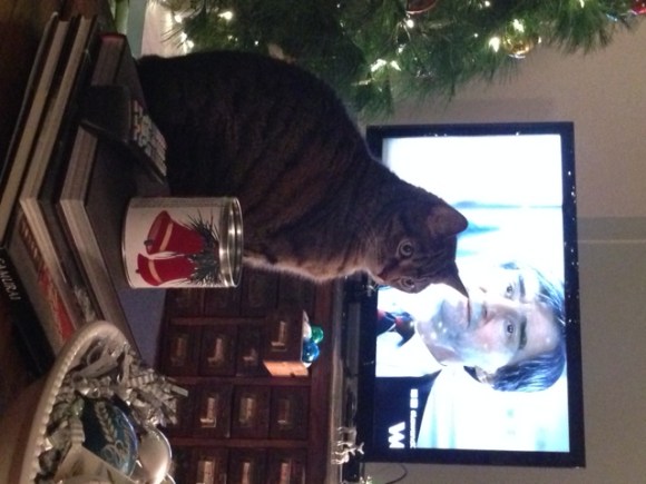 presley watches law & order