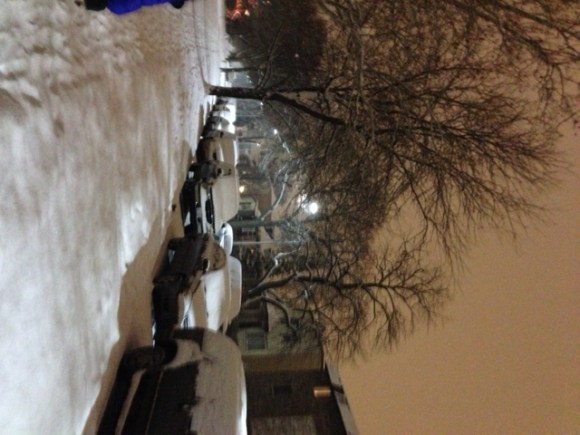 snow by Golden Steer