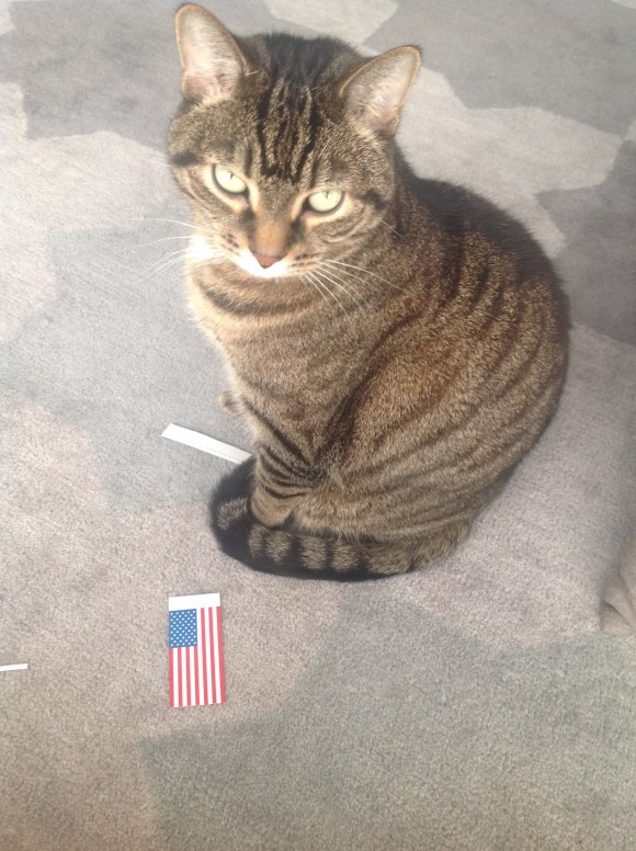 Presley and the USA flag