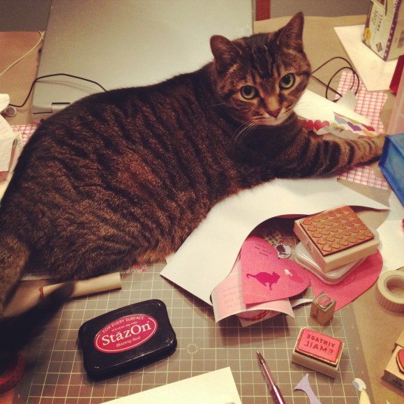 presley on top of the mail