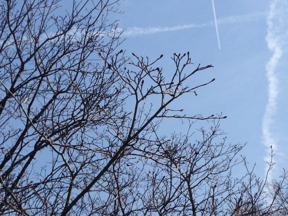 blue sky