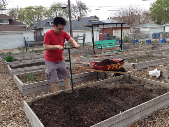 Forest Park Community Garden,  plot 6