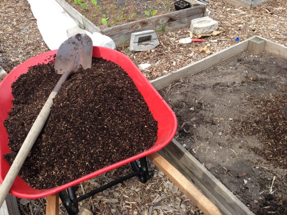 Forest Park Community Garden,  plot 6