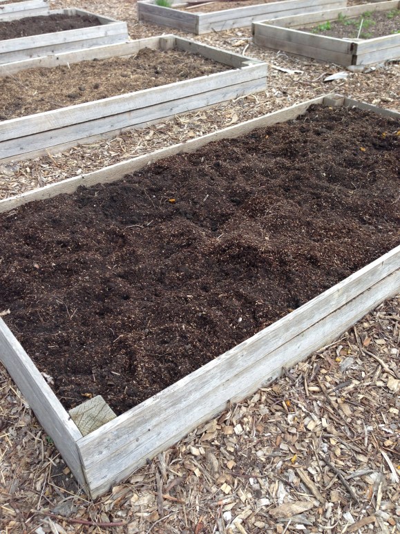 Forest Park Community Garden,  plot 6