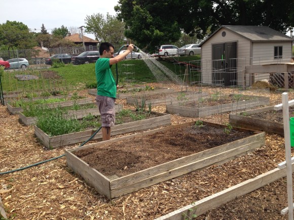 forest park community garden