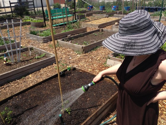 forest park community garden