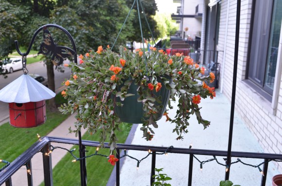 kimberly ah balcony