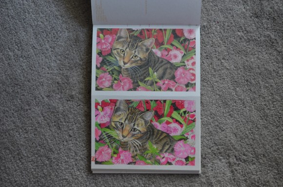 postcards from okaasan