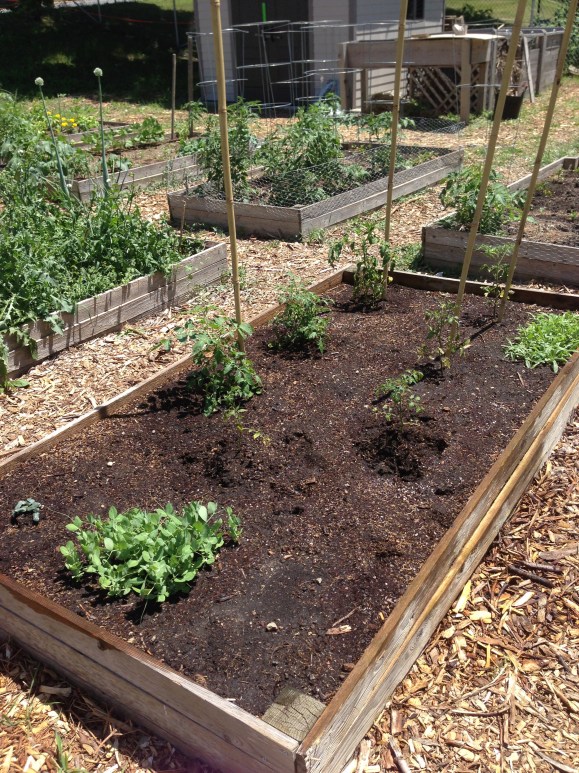 plot #6