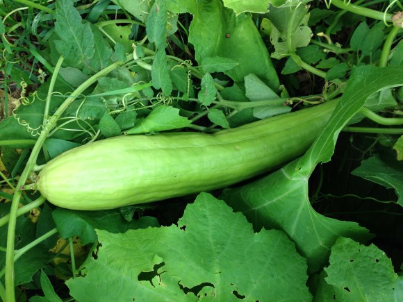 plot 6