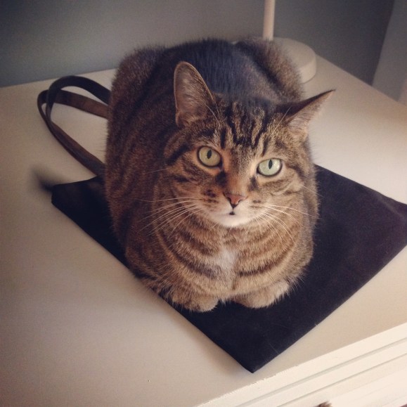 Presley and her Peg & Awl bag nap mat