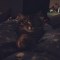 photo(40)