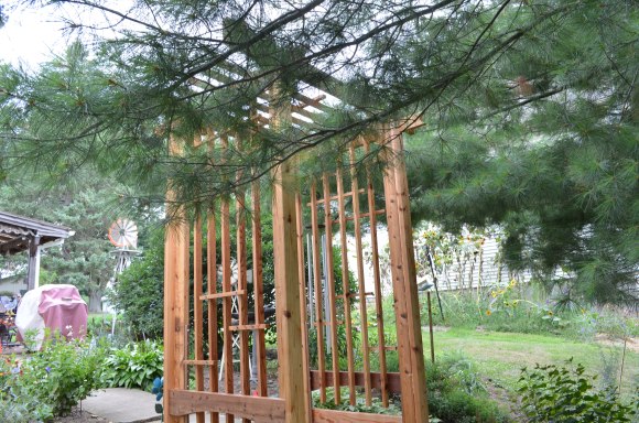 my parent's backyard