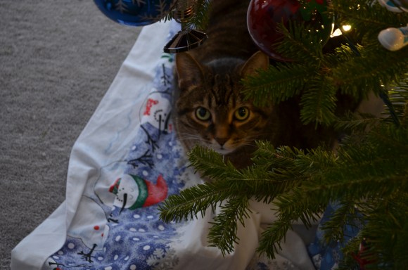 Christmas Tree 2014