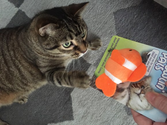 Presley's gift from Karen, noisy catnip fish