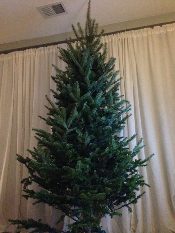 the tree 2014