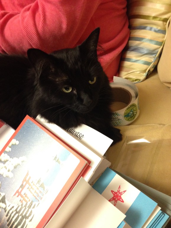 chirstmas cards