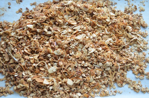 homemade granola, trader joes