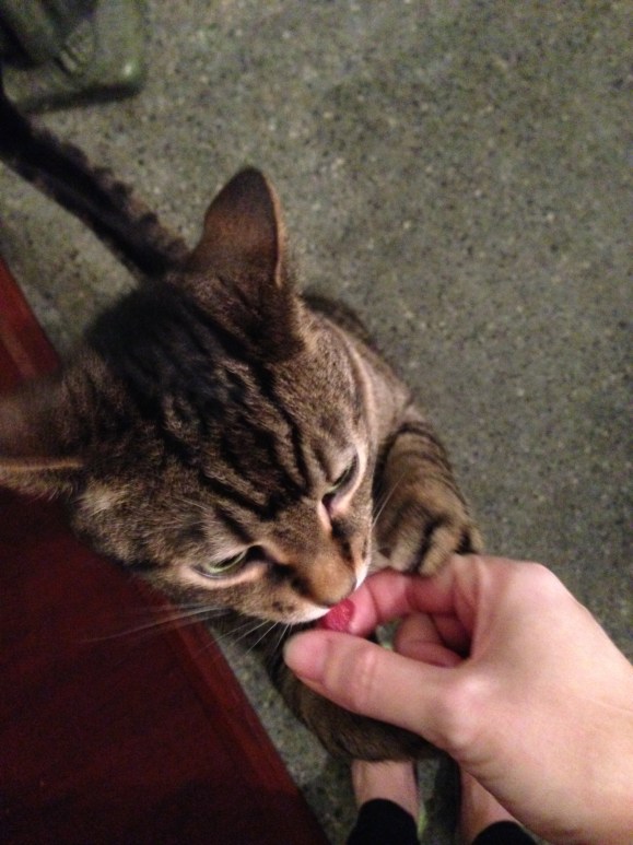 making sushi at home, presley tries tuna