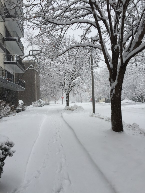 CHicago BLizzard 2015