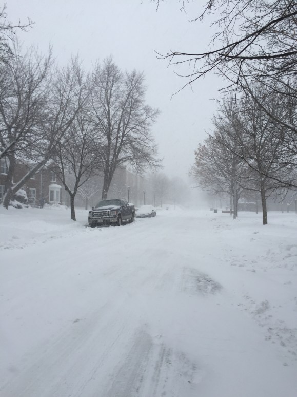 Chicago Blizzard 2015
