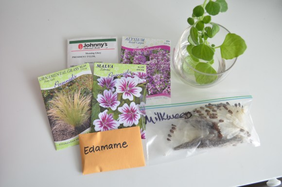 forest park community garden seed swap