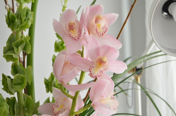 birthday bouquet