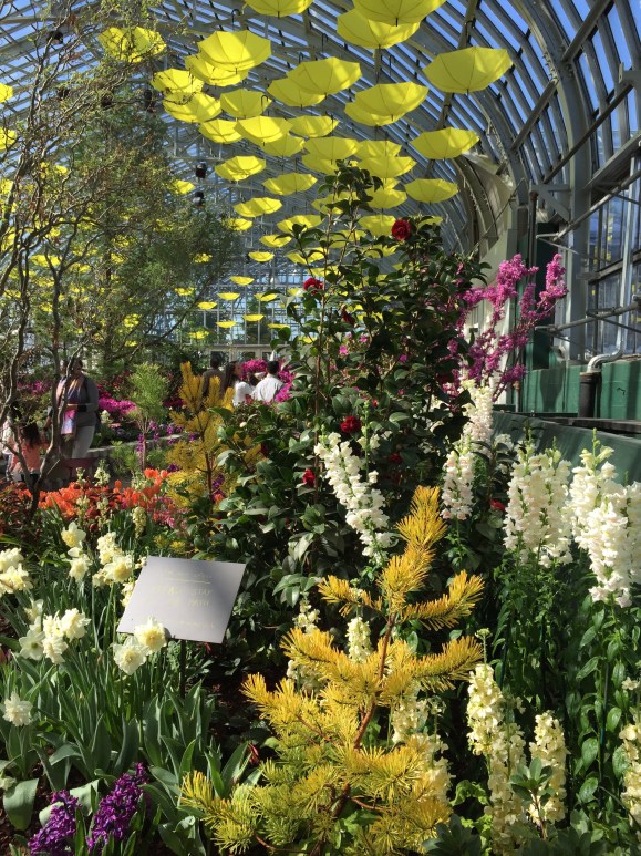 Garfield Park Conservatory Spring Flower Show