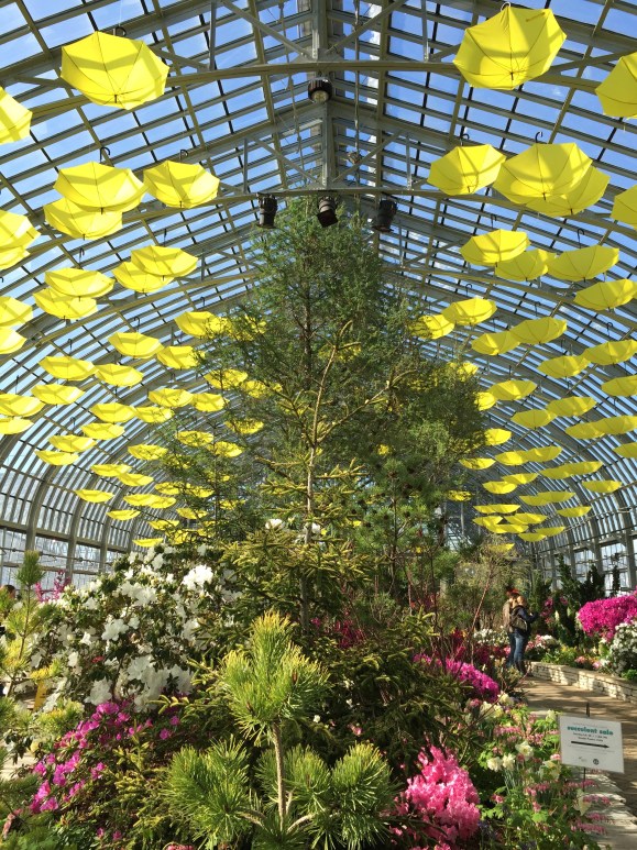 Garfield Park Conservatory Spring Flower Show