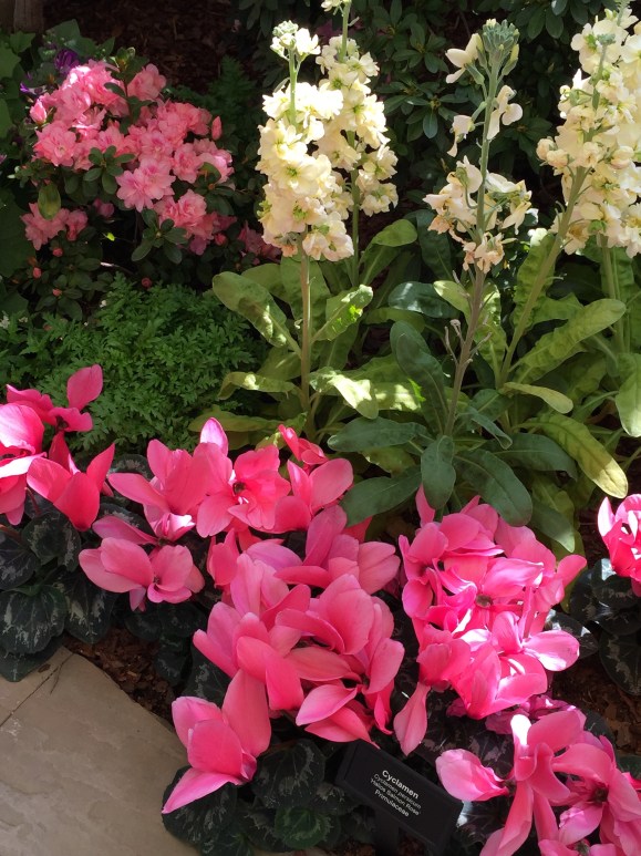 Garfield Park Conservatory Spring Flower Show