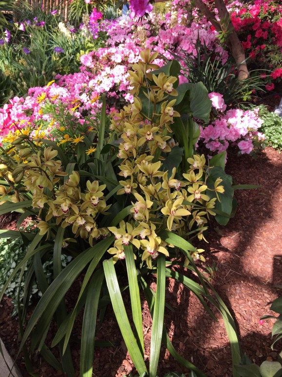 Garfield Park Conservatory Spring Flower Show