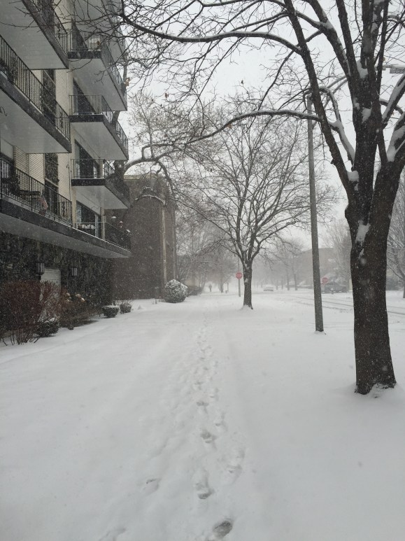 spring in chicago, snow march 23