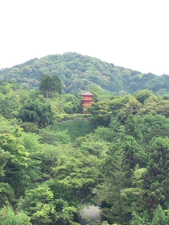 views from Kiyomizu Temple