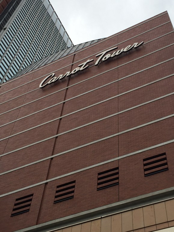 Carrot Tower, Sangenjaya