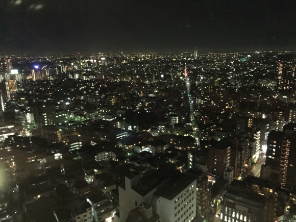 view from Carrot Tower
